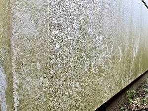 コケやしつこい汚れ